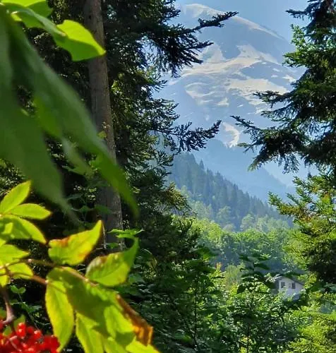 L'ecrin Alpin * Saint-Gervais-les-Bains